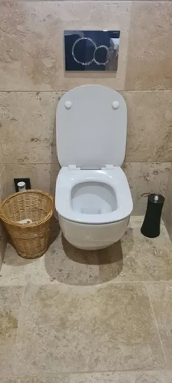Produits pour déboucher vos WC ?, Saint-Gaudens, LR 31