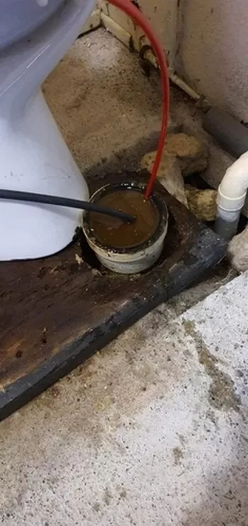 WC bouché à FABAS, Saint-Gaudens, LR 31