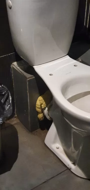 Canalisation wc bouchée à Toulouse