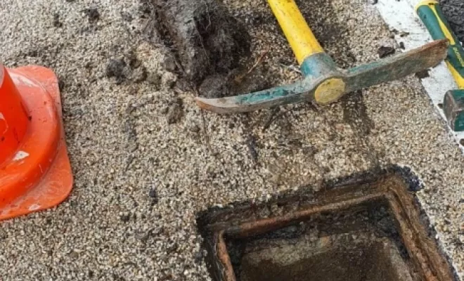 Racine dans canalisation