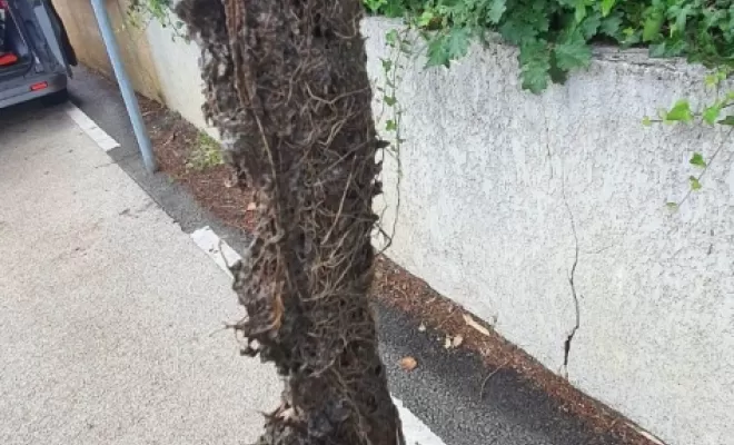 LR 31 débouche vos canalisations