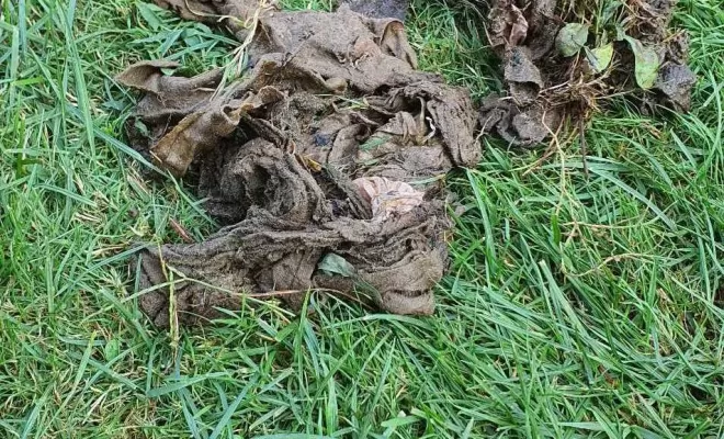 Lingettes qui bouchent vos canalisations