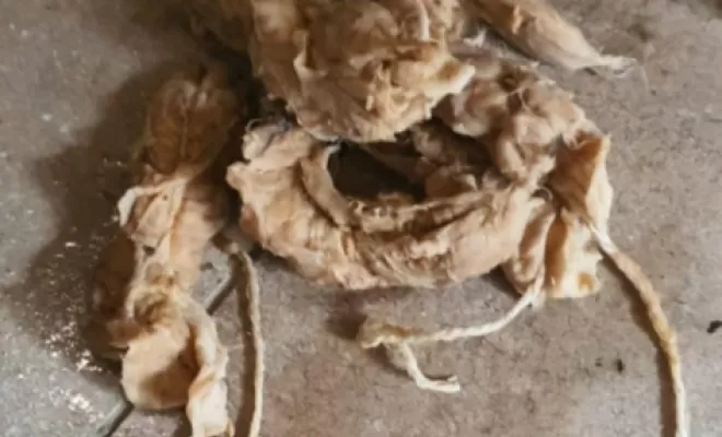 tampons hygiéniques dans une canalisation wc